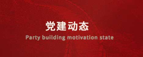 党建动态