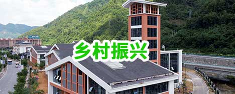 乡村振兴